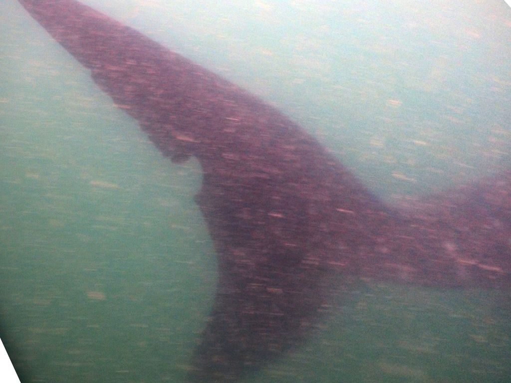 5a65f471-7215-4771-8c9a-373ddeed5c98