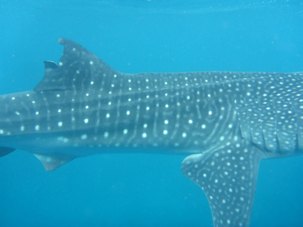 319c831f-ead2-4d2f-b8a7-3b8fb4c7dbba