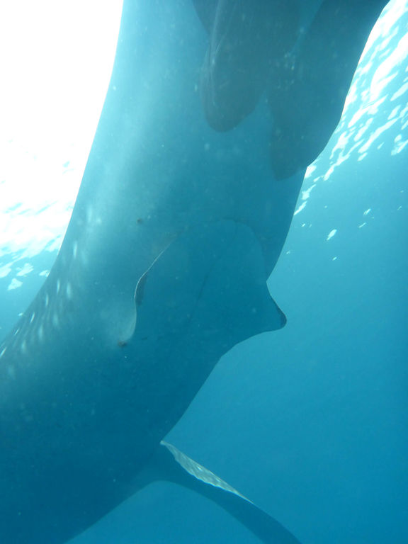 319c831f-ead2-4d2f-b8a7-3b8fb4c7dbba