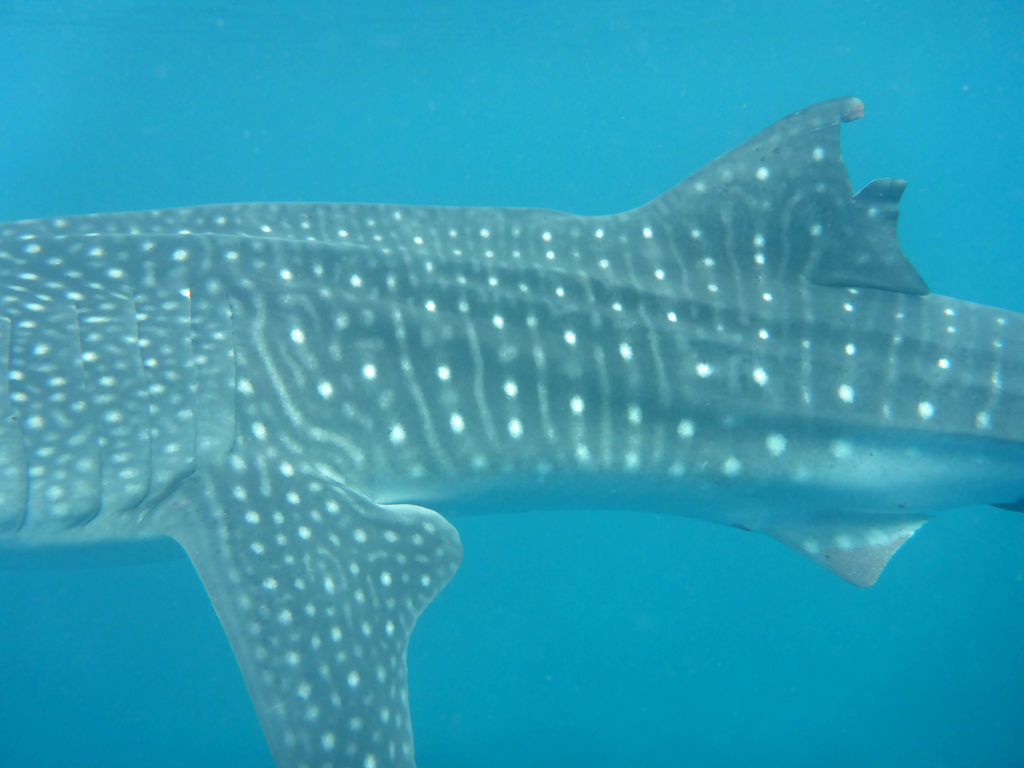 319c831f-ead2-4d2f-b8a7-3b8fb4c7dbba