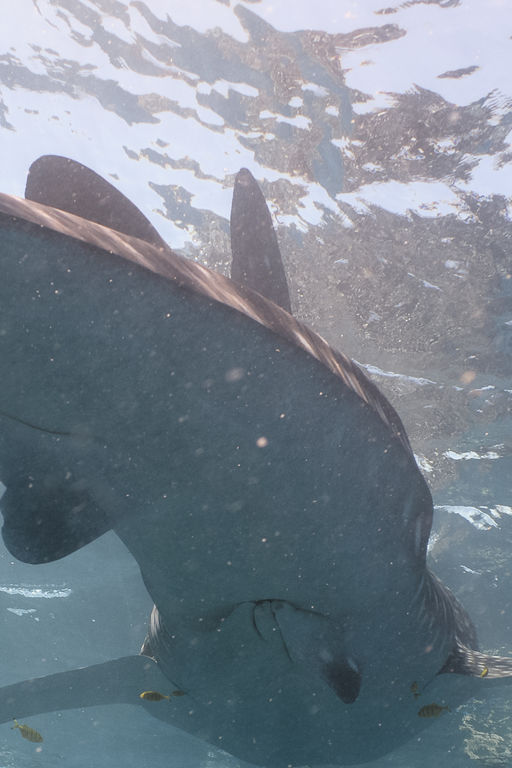 ca6324f1-1144-4d3a-8f7d-a9fd41d03c73