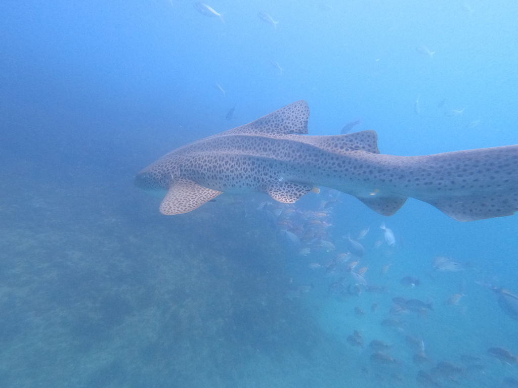 7d94b8d6-bd84-494f-8416-0349a17adee0