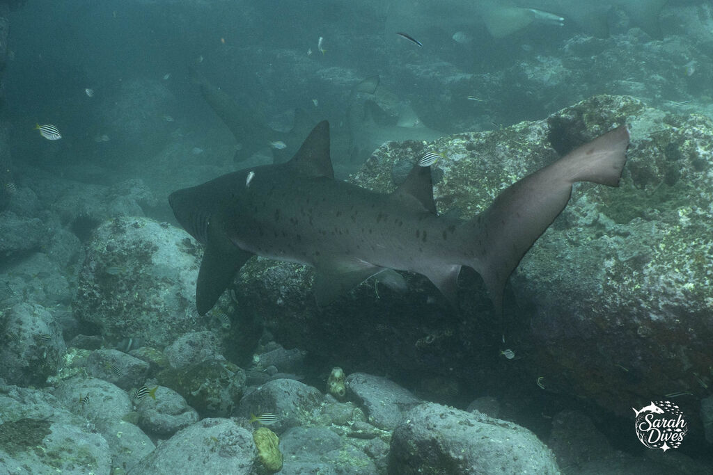 5c4e2987-4485-496a-898d-0bab21c6b8f5