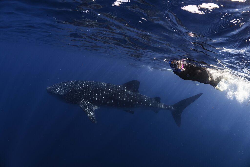 c3a0ff28-fcfd-4a7f-b4fa-f139b9632db1