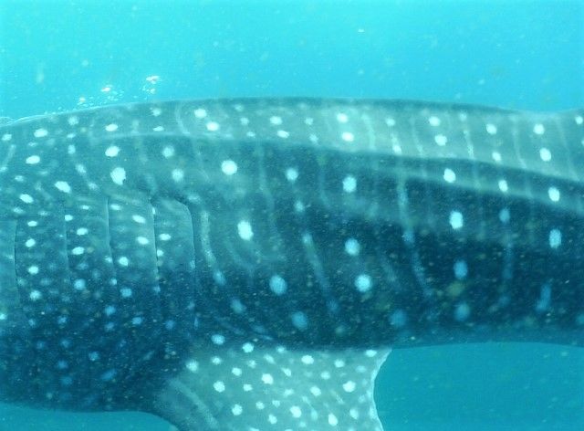 9c1b4231-86c5-417a-932c-d518215f43e1