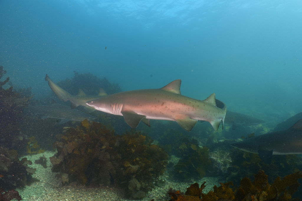 a9bb96c3-0d1f-4c39-b905-8f5c06ef7ff5