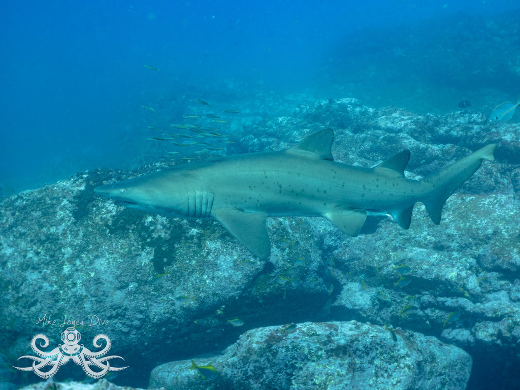 2ac3eabe-e578-4093-b496-bb028bf35594