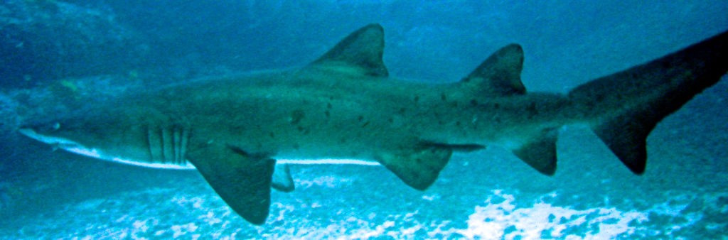 949e05a7-b0c7-490f-921e-68ac338683fe