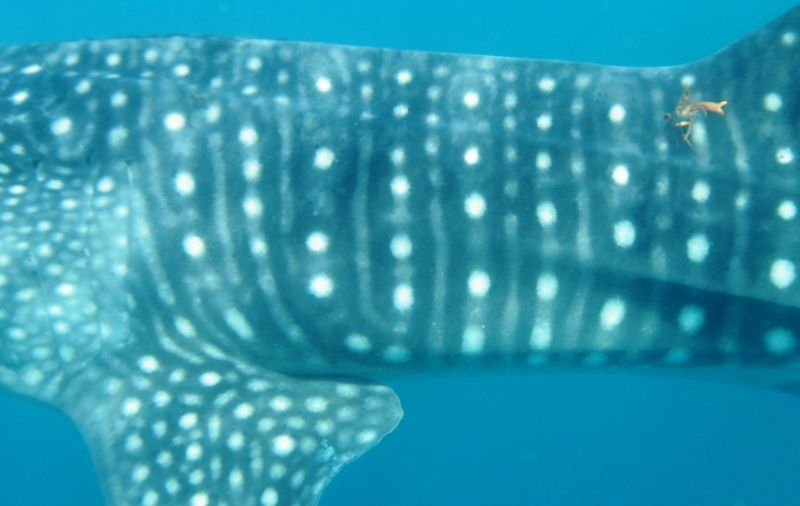 5f9397af-cc2f-448b-959a-9620c7c27d03