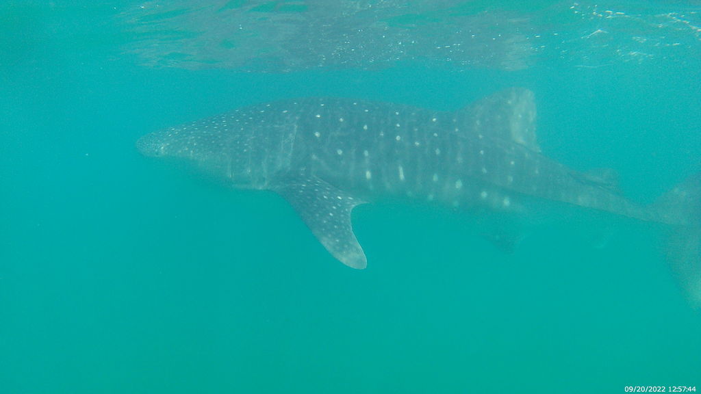 88cec84b-a7a7-4ea7-b253-c7c04b4bb893