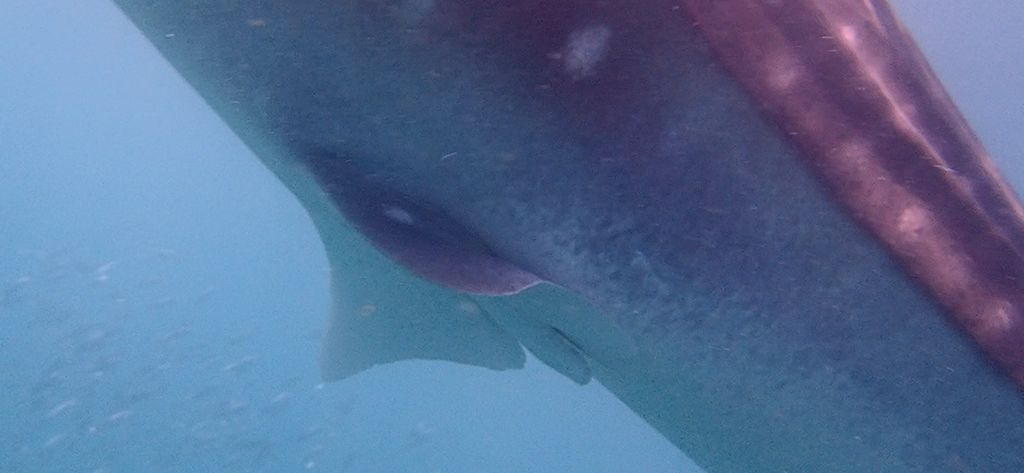 88cec84b-a7a7-4ea7-b253-c7c04b4bb893