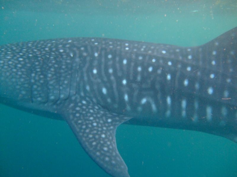 14c076d2-0319-4d73-87af-a7815b57d104