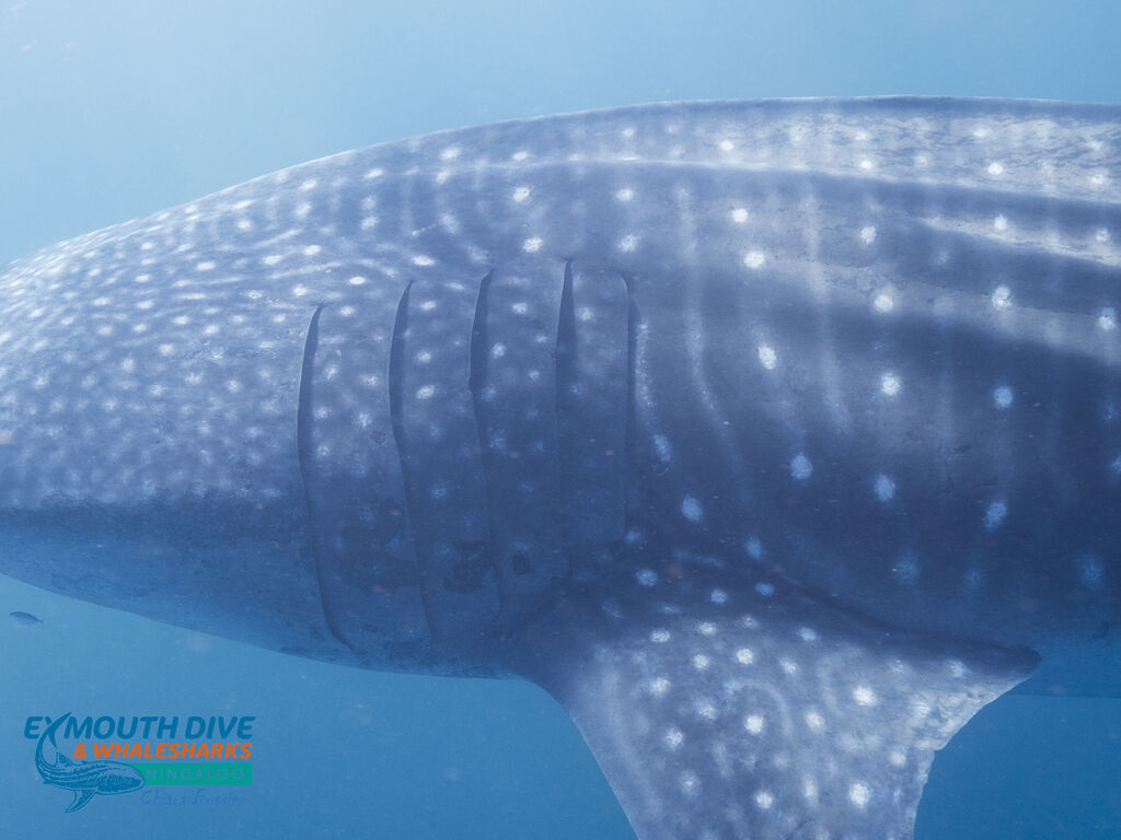 43a3b388-50f9-4fe7-a61a-eaae7e34d11e