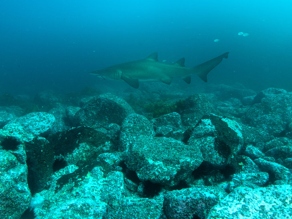 2750fe7f-ea21-4ec2-b68a-300459d87b1e