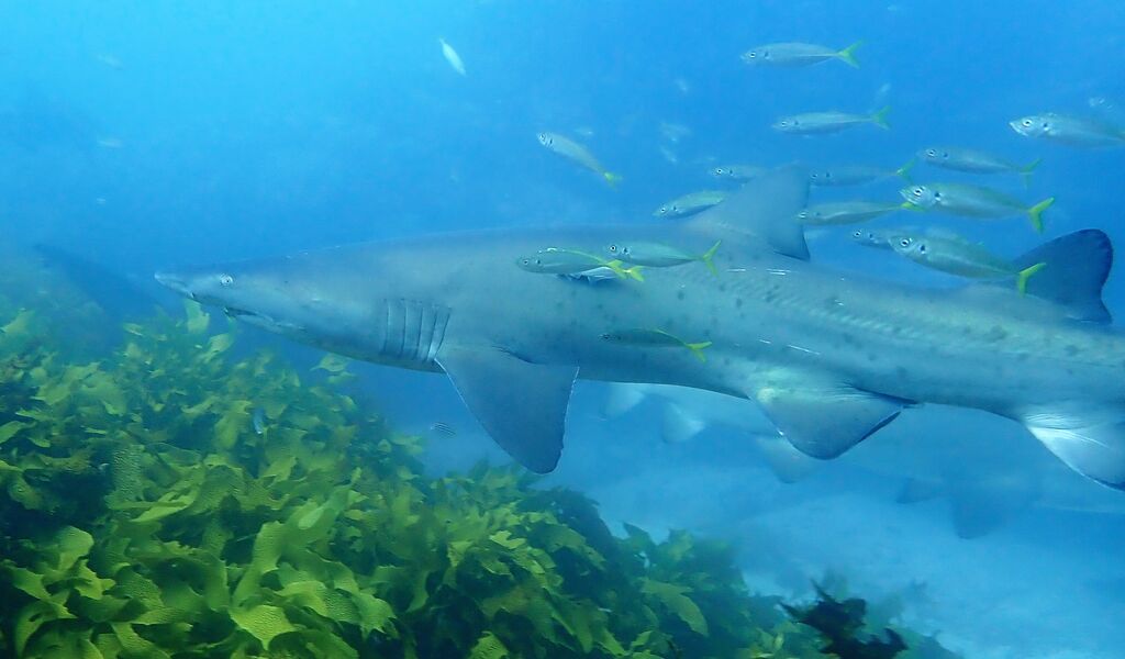 2830440e-90b5-421e-b4d3-bf2ec60e34fa