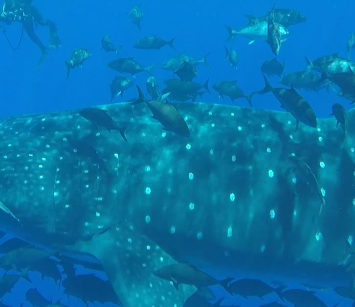 2de7af8e-5efe-4bdb-ba76-3b798c0cc961