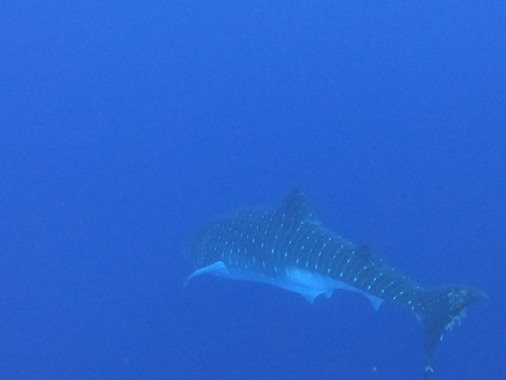 7a67d0da-0ac3-47db-9e42-c0175f14d17b