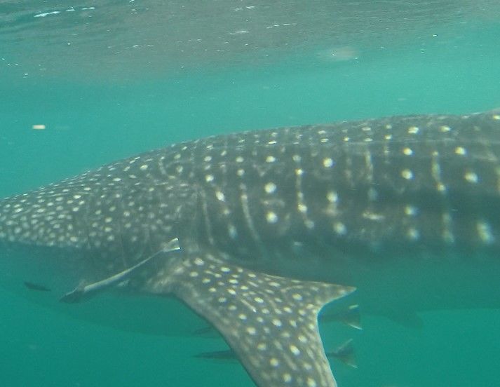 39dea10c-3ec2-4813-9c02-51477a463de5