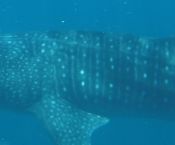 126d8dde-ef51-4463-af7f-e43f9ba475fa