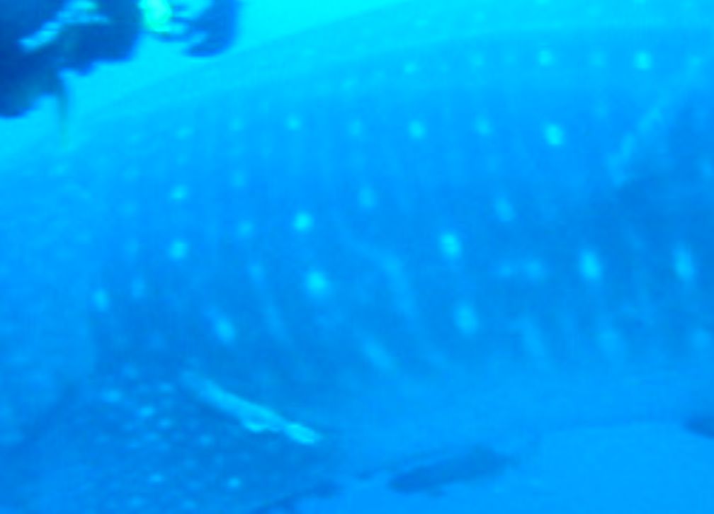 fd59e81e-9421-44c7-b61d-35a5f5e1bf91