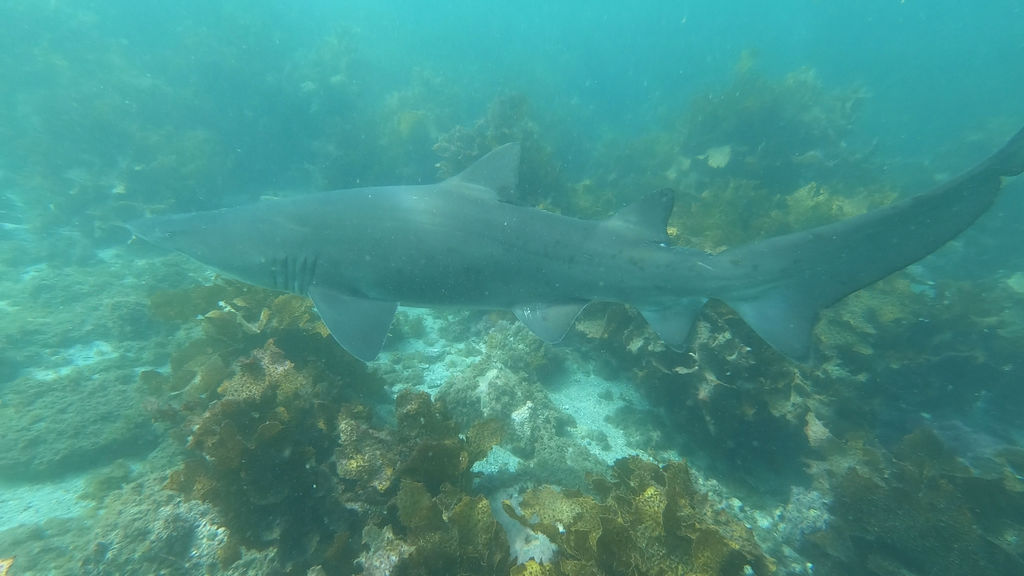 f3ce96e5-c783-4b47-8694-967fb9deb131