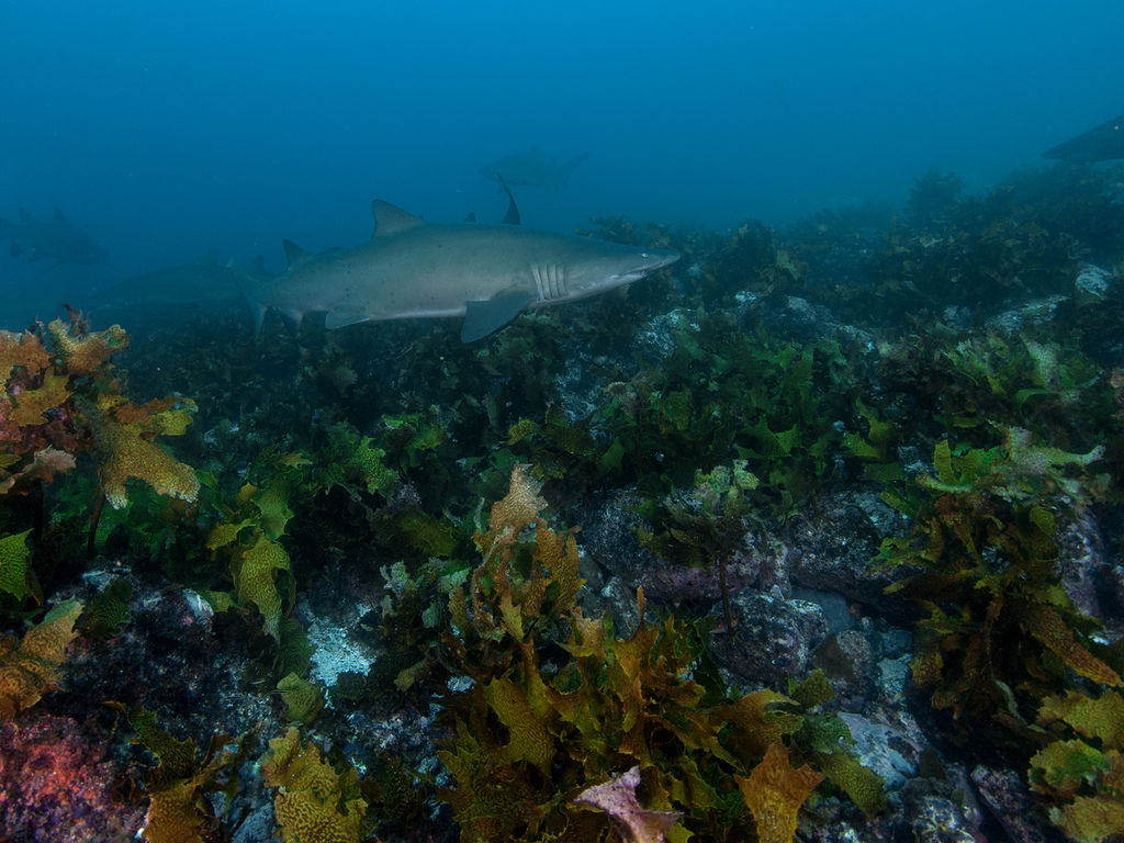 7f1253dc-cdcc-4ae8-8f09-26891f001657