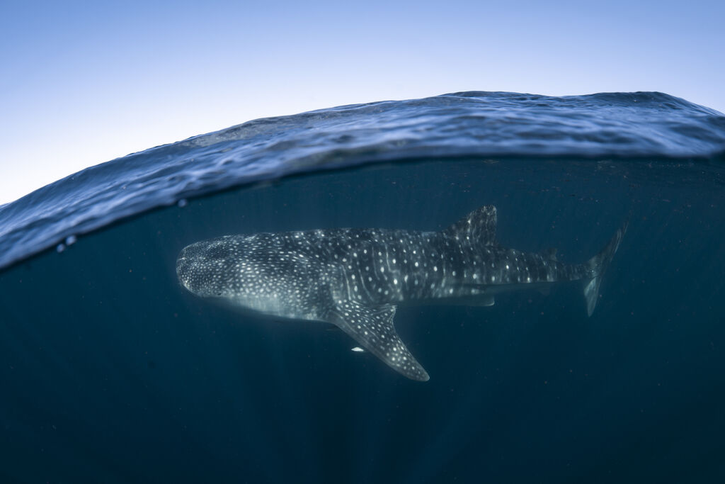 d440a7ac-cdc1-472a-8890-b08a462cb62b