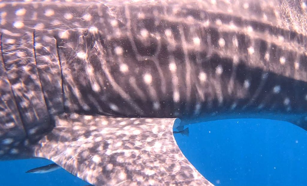 9b73f79f-ea7c-4d4b-8da6-88539762198d