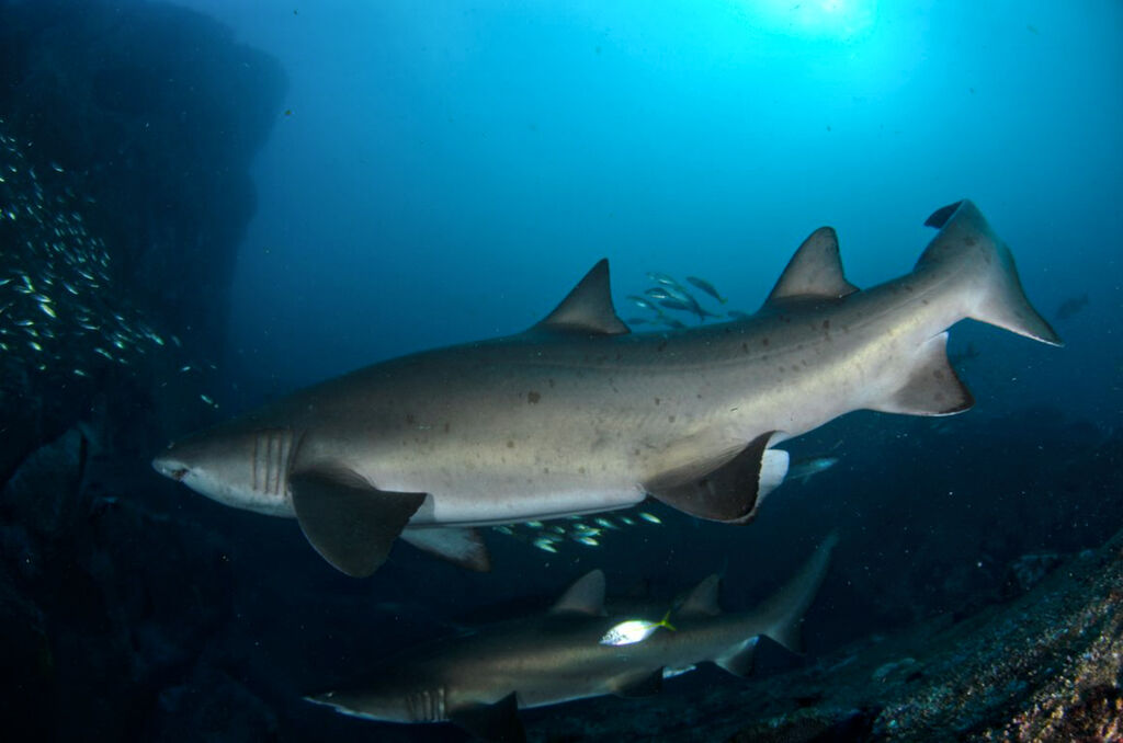 a07292d7-2582-4587-b0e7-63cc5514f2dc