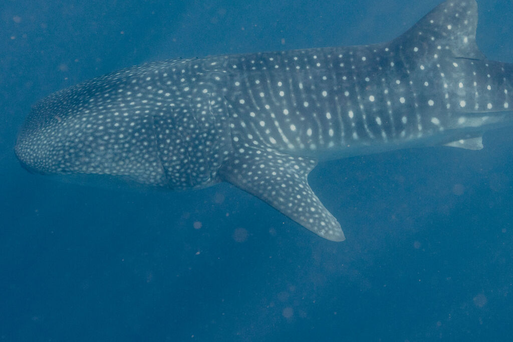 8ea5a3a9-0c5f-4092-9e4b-da018e891457