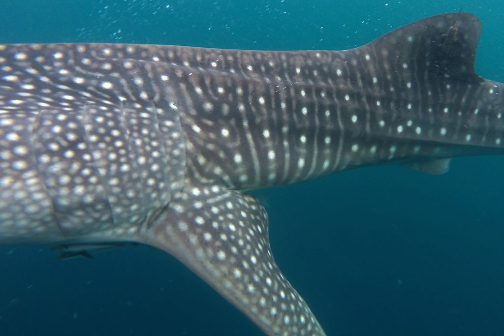 cdbfcbb4-d773-4afd-857a-121c8b0cfb87