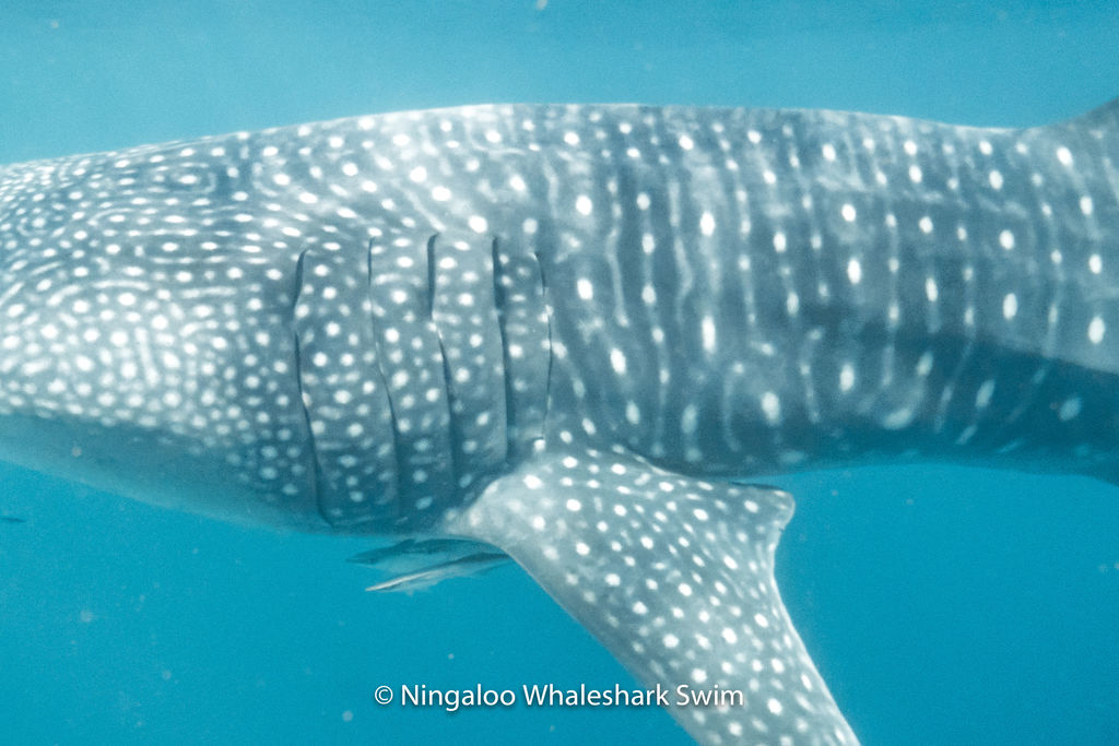 20d45945-1e97-4157-8029-8a5154878ebc