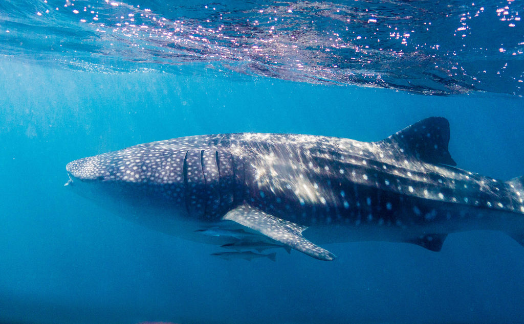 280187d0-b3d4-4e98-b150-04fc6e930ef8