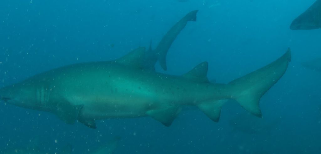 8a269af6-7cf8-4692-ac0e-f02a0fd01aac