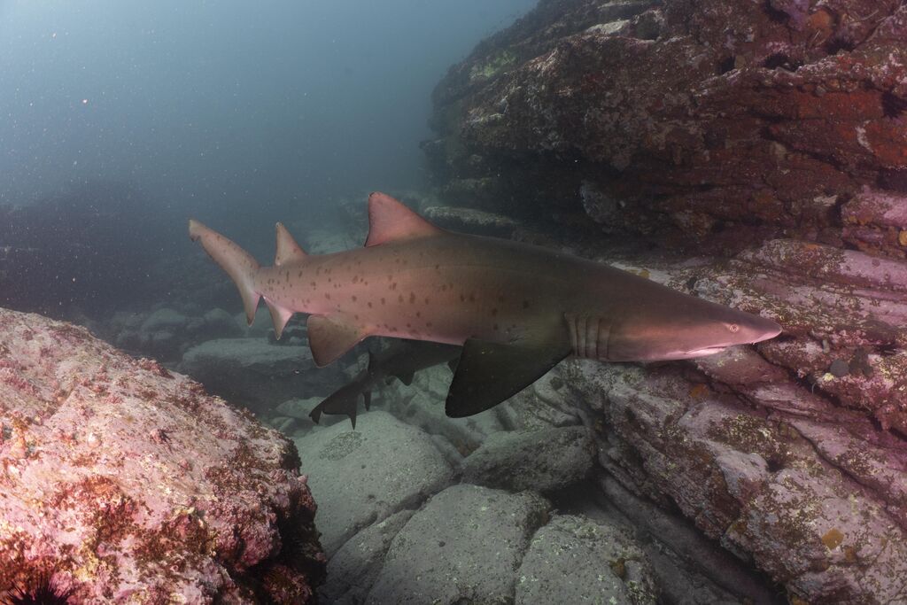 ad4f15c9-9ace-4fd2-a0a5-330920fcc5ae