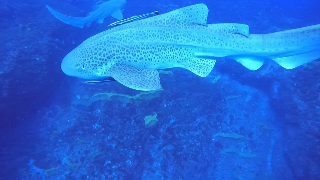 688d1982-4077-4e9d-989a-085b79bcb1e7