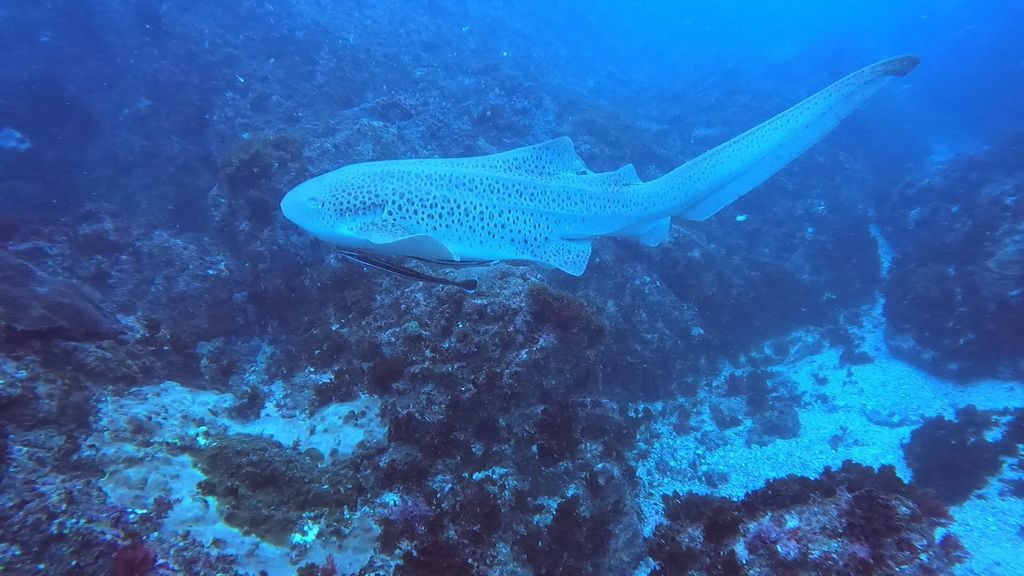 aa2a3641-fc65-4fab-b46c-e7f6d8e28eb8