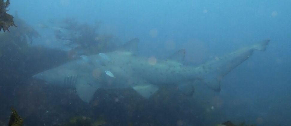 f6a1adbe-d084-4af6-930f-ab577e4fffbf