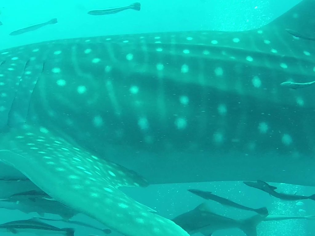 73de0d18-0e4e-492b-8df3-6a24d7f87cfa