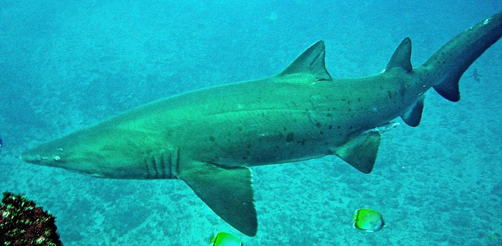 a9403c9e-9506-4563-bf3e-55348c7f6d89