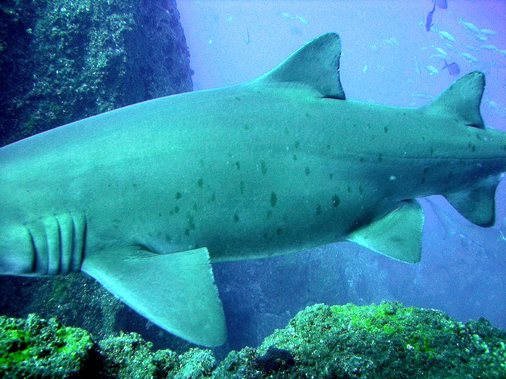 3f0574fe-40ed-4789-b4d5-9e7d25222bd9