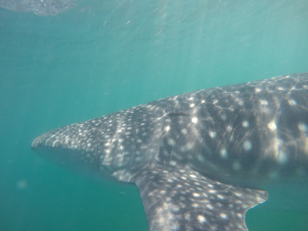 46b3f154-a888-40da-826d-2cc5b4f47dd9