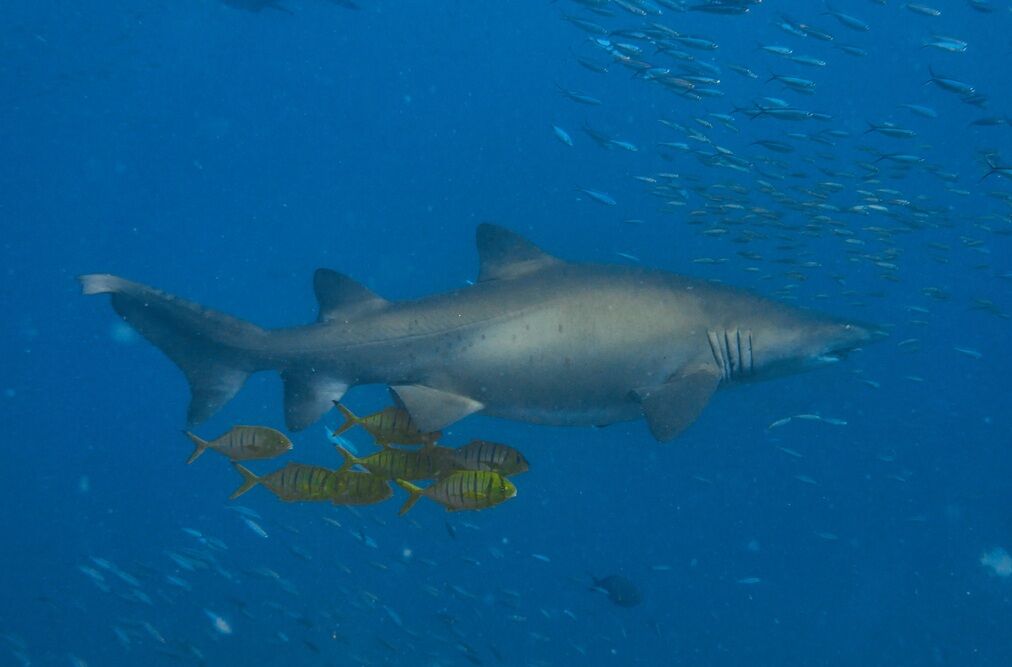 d42288ac-da0b-4c39-b28e-e9c3a0979e21