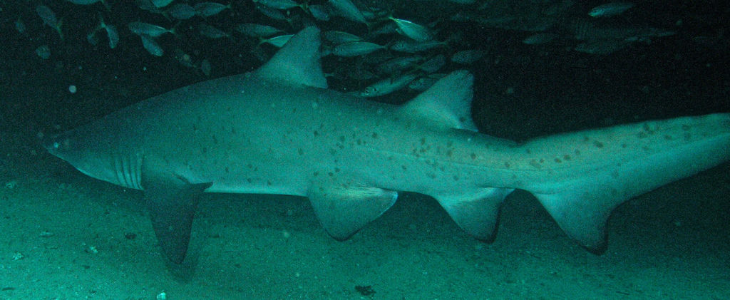 b1850550-673a-4698-9ba9-175da76e4134