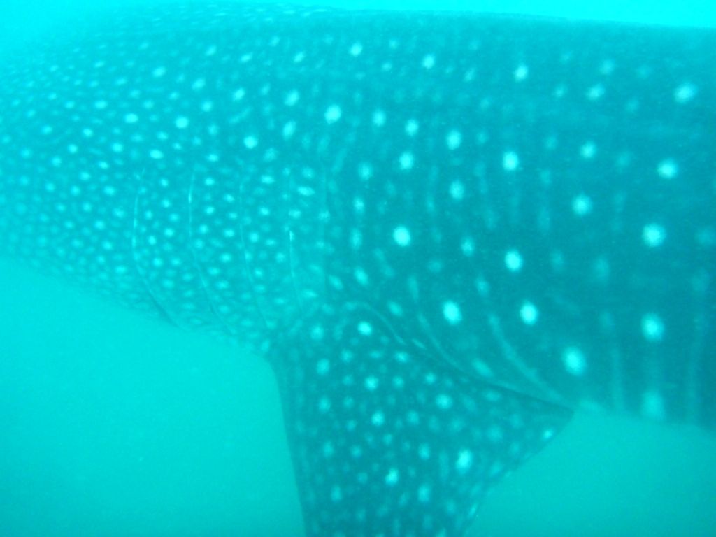 5ab7e82e-0727-4bd9-b1fd-5b7f6ec321bf