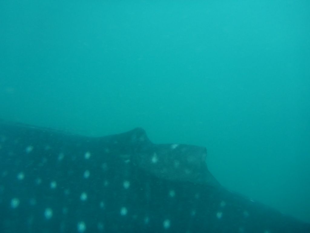 5ab7e82e-0727-4bd9-b1fd-5b7f6ec321bf