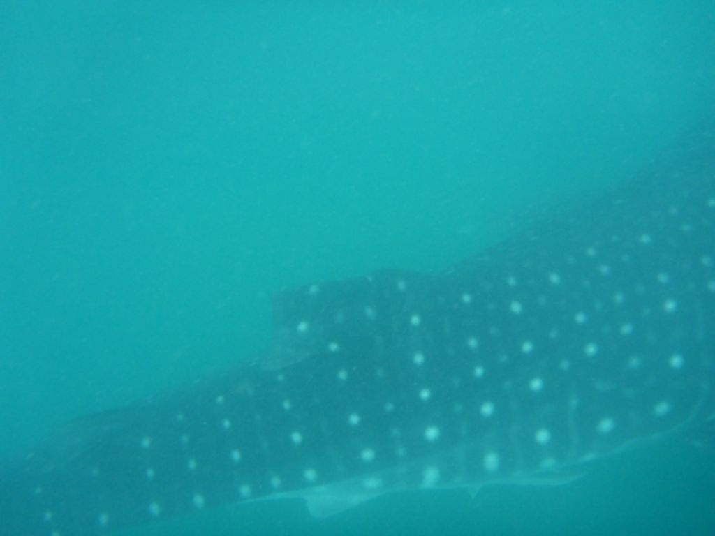 5ab7e82e-0727-4bd9-b1fd-5b7f6ec321bf