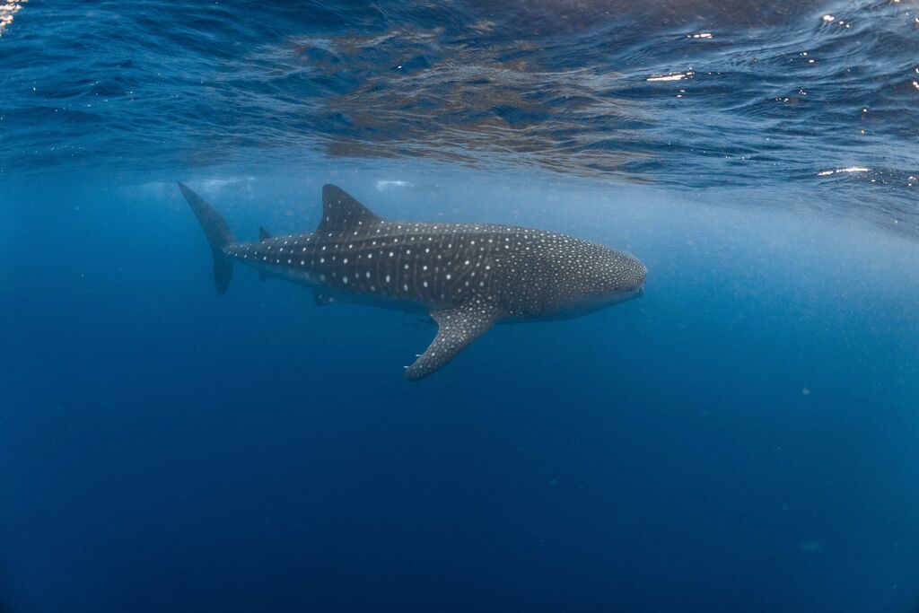 512222a7-26af-4539-aaf7-0e0dfe3cc001