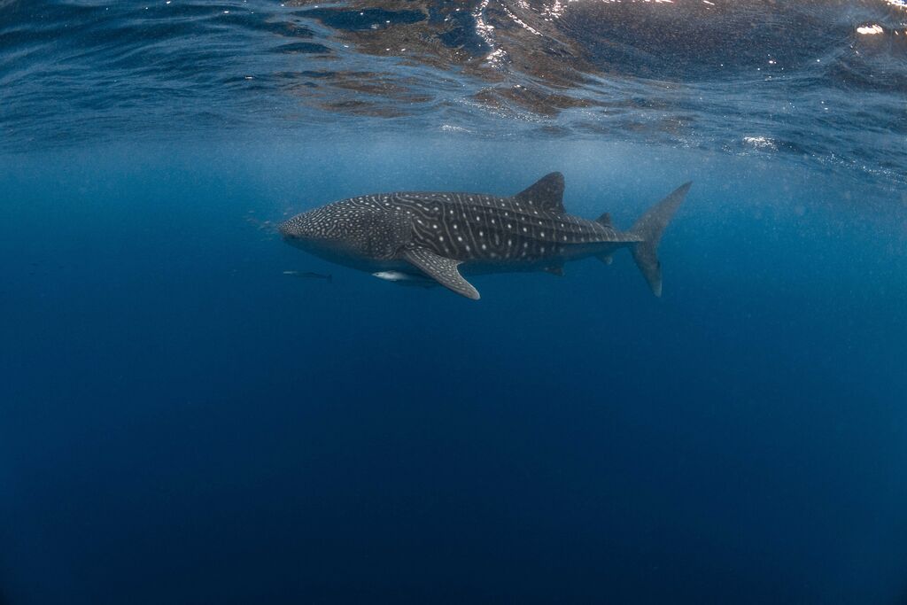 3c4bfeb8-60cd-41f5-bfb1-51b723db946c