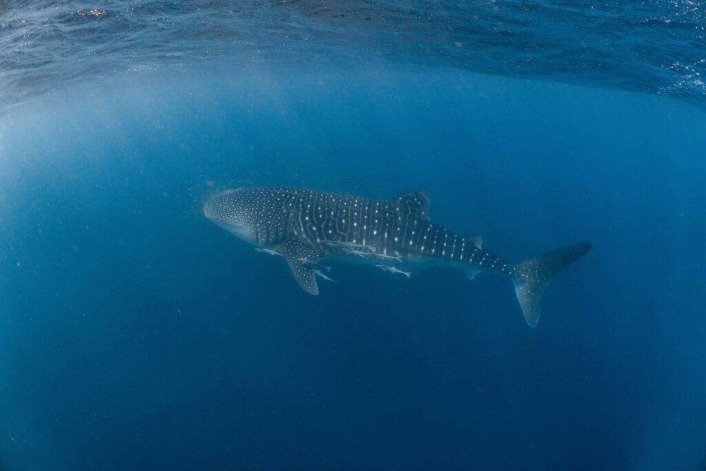 100c2eec-e34b-4387-aca9-0fd220382f7d